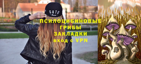 скорость Краснослободск