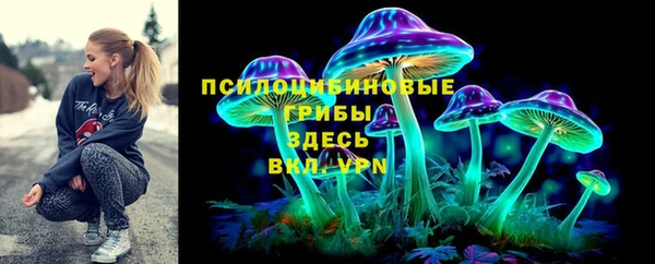 МДПВ Ижевск