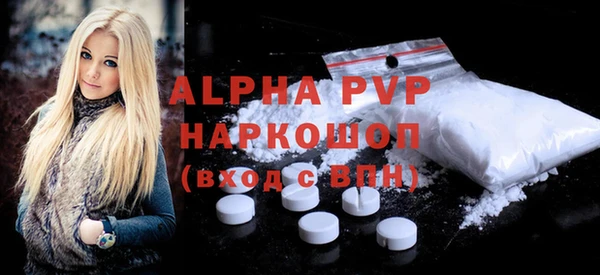 гашик Коряжма